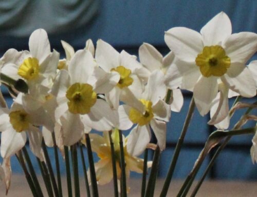 Pomladni praznik OŠ, 14. in 15.4.2026